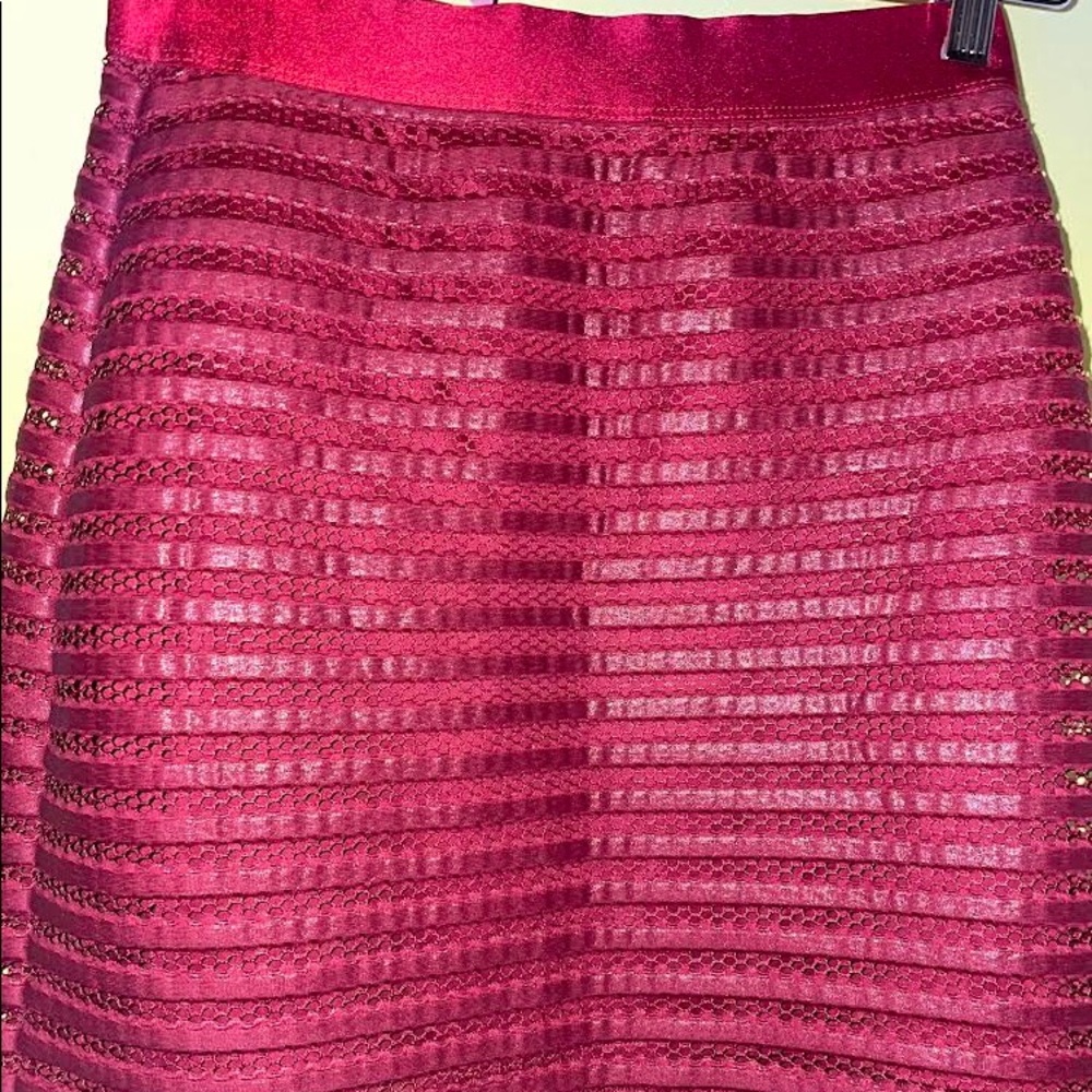 Red Express Skirt
